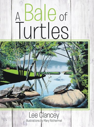 bokomslag Bale of Turtles