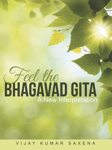 bokomslag Feel the Bhagavad Gita