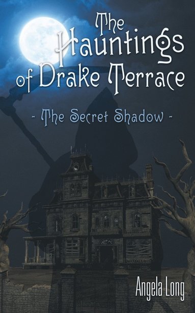 bokomslag Hauntings of Drake Terrace