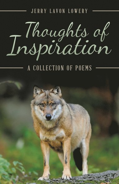 bokomslag Thoughts of Inspiration