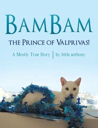 bokomslag BamBam, the Prince of Valprivas!