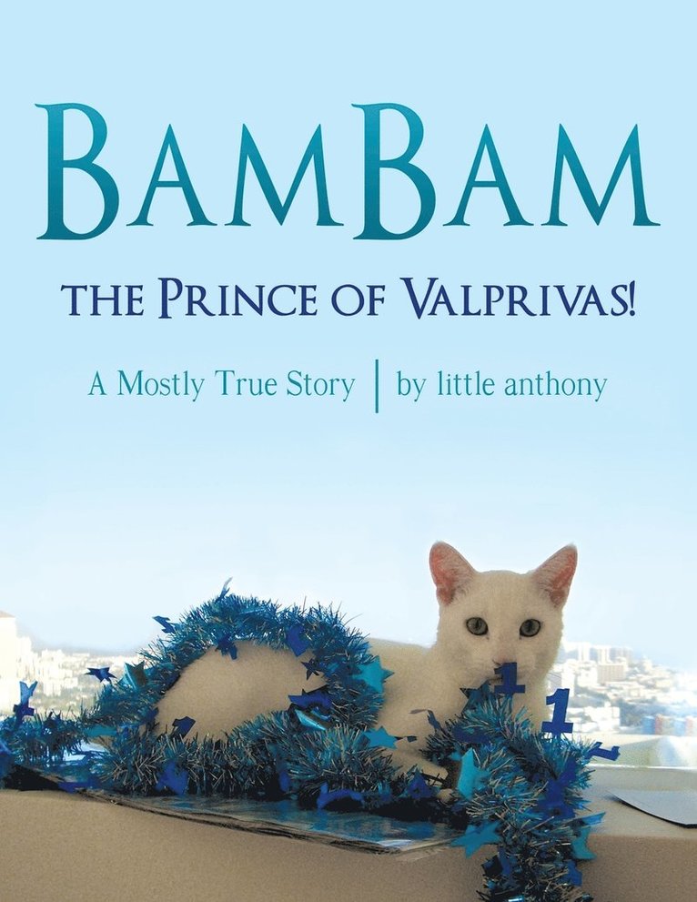 BamBam, the Prince of Valprivas! 1