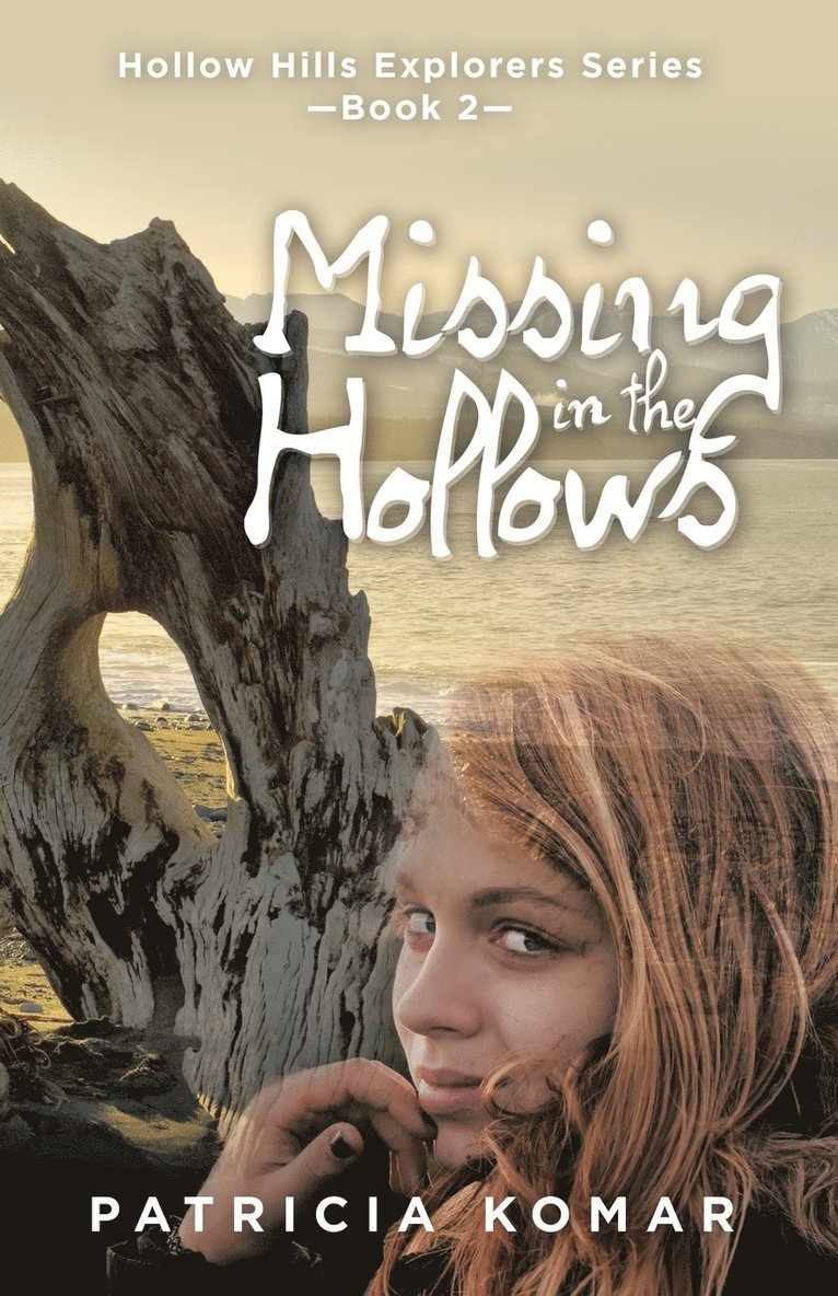 Missing in the Hollows 1