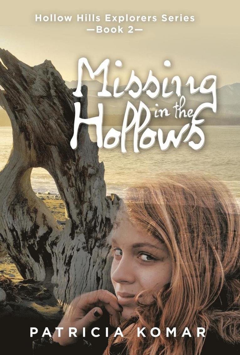 Missing in the Hollows 1