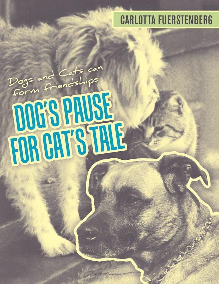 Dog's Pause for Cat's Tale 1