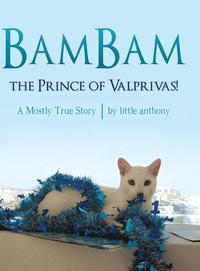 bokomslag BamBam, the Prince of Valprivas!