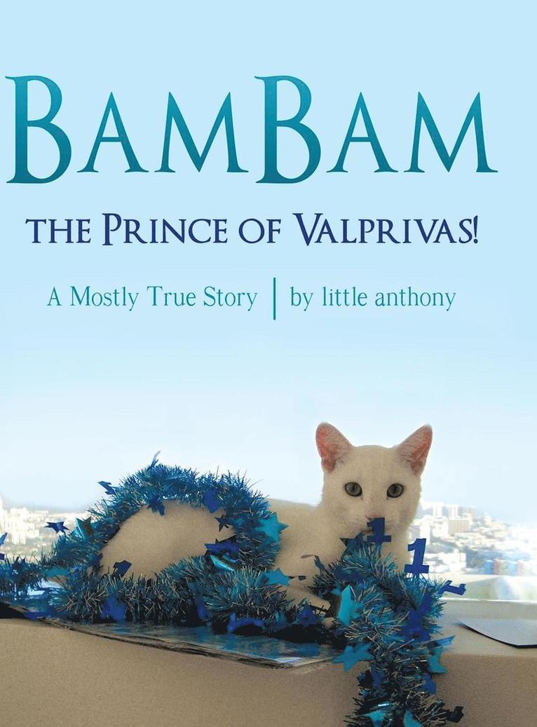 BamBam, the Prince of Valprivas! 1