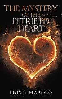 bokomslag The Mystery of the Petrified Heart