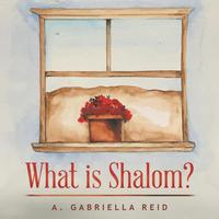 bokomslag What is Shalom?