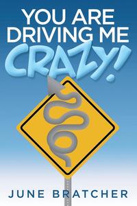 bokomslag You Are Driving Me Crazy!