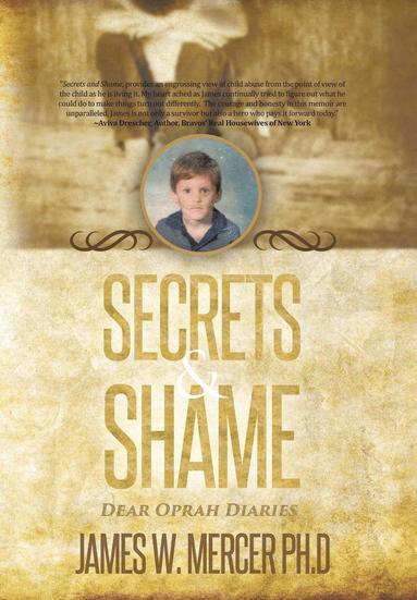 bokomslag Secrets & Shame