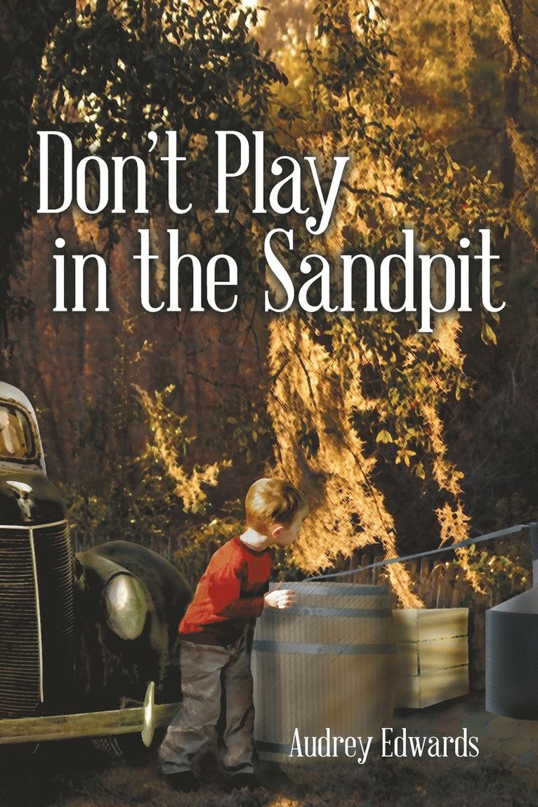 Audrey Edwards - Don't Play in the Sandpit, Häftad