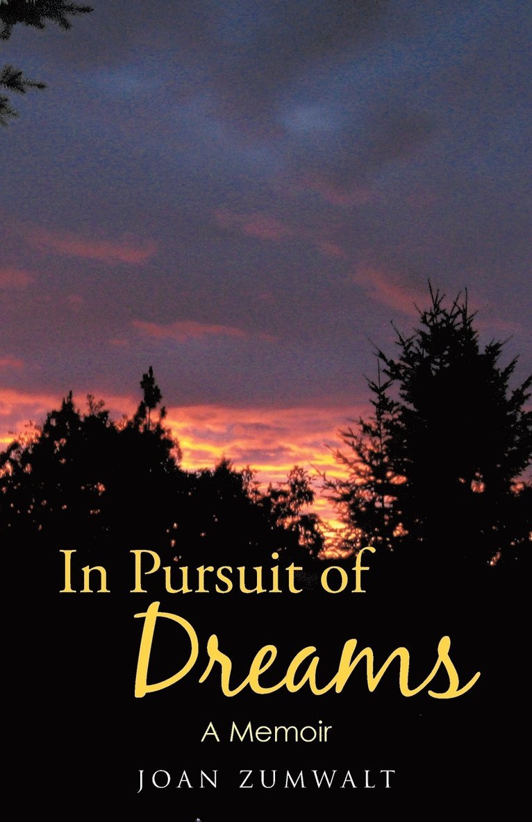 In Pursuit of Dreams 1