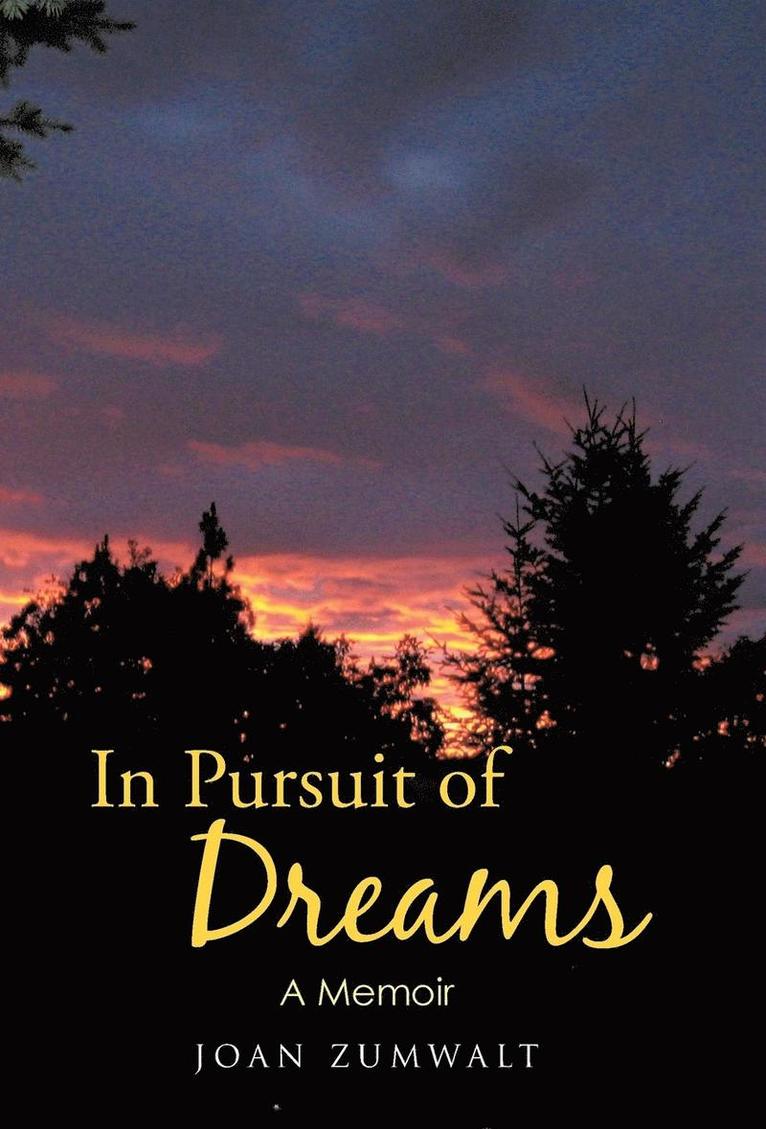 In Pursuit of Dreams 1