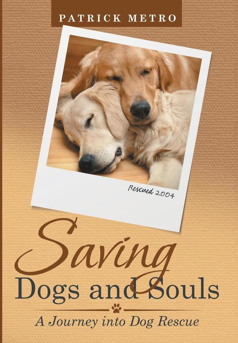 Saving Dogs and Souls 1