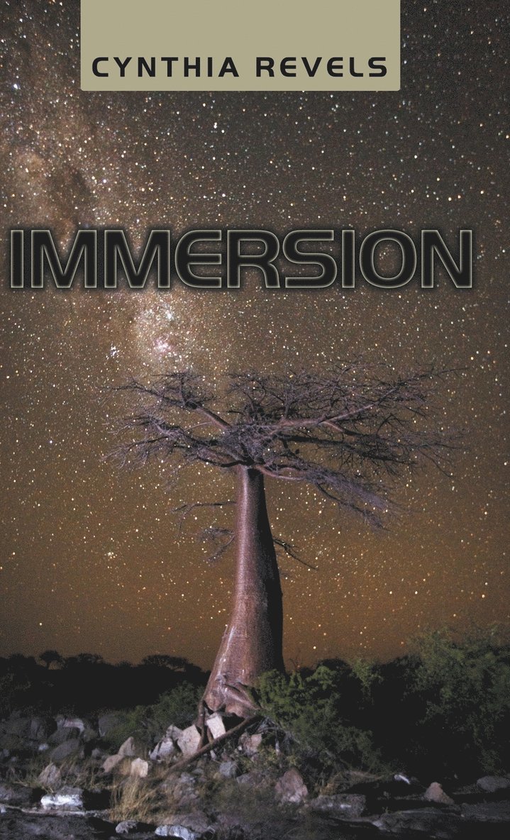 Immersion 1