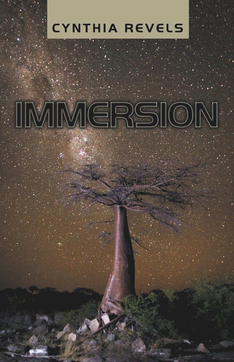 Immersion 1