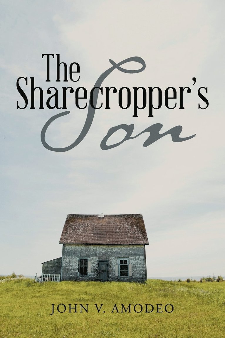 The Sharecropper's Son 1