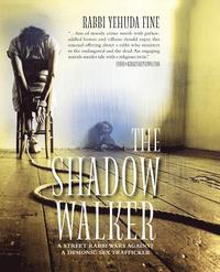 bokomslag The Shadow Walker