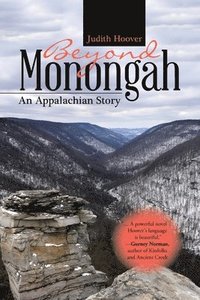 bokomslag Beyond Monongah