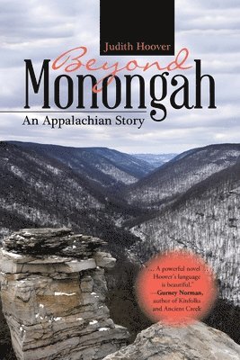 bokomslag Beyond Monongah