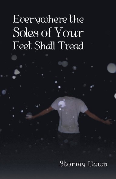 bokomslag Everywhere the Soles of Your Feet Shall Tread