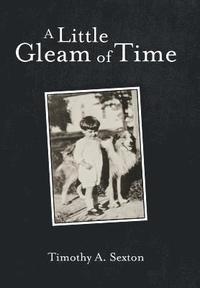 bokomslag Little Gleam of Time