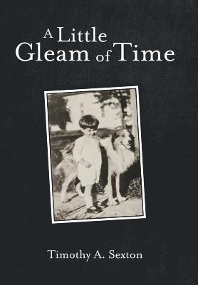 bokomslag Little Gleam of Time