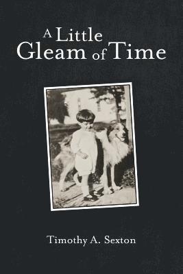 bokomslag Little Gleam of Time