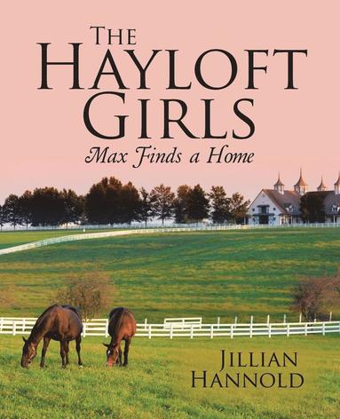 bokomslag The Hayloft Girls: Max Finds a Home