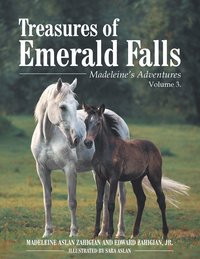 bokomslag Treasures of Emerald Falls