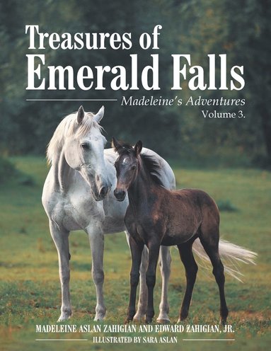bokomslag Treasures of Emerald Falls