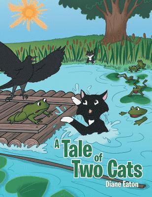 Tale of Two Cats