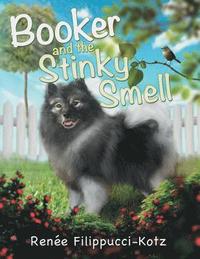 bokomslag Booker and the Stinky Smell