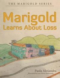 bokomslag Marigold Learns About Loss