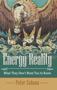 bokomslag Energy Reality