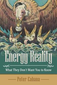 bokomslag Energy Reality