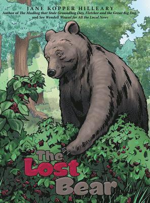 bokomslag The Lost Bear