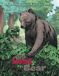 bokomslag The Lost Bear