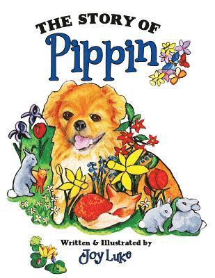 bokomslag Story of Pippin