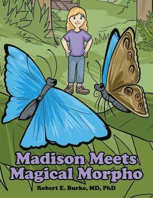 Burke - Madison Meets Magical Morpho, Häftad
