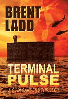 Terminal Pulse 1