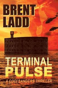 bokomslag Terminal Pulse