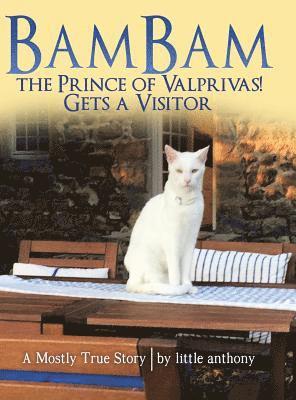 Bambam the Prince of Valprivas! Gets a Visitor 1