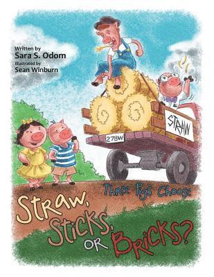 Straw, Sticks, or Bricks? 1