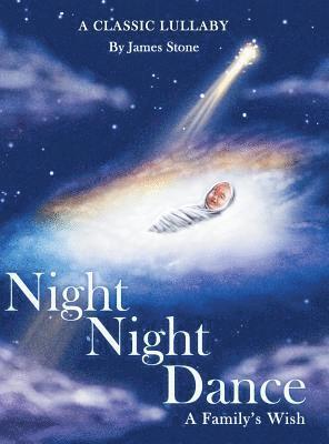 bokomslag Night Night Dance