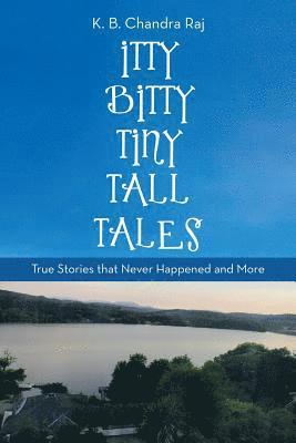 bokomslag Itty Bitty Tiny Tall Tales