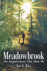 bokomslag Meadowbrook