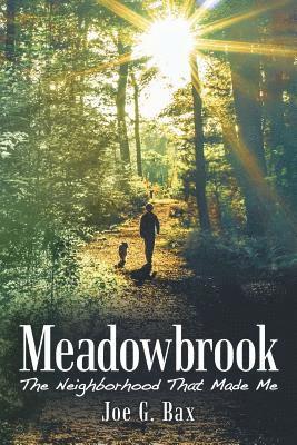 bokomslag Meadowbrook