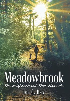 bokomslag Meadowbrook